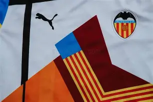 瓦伦西亚新球场复工